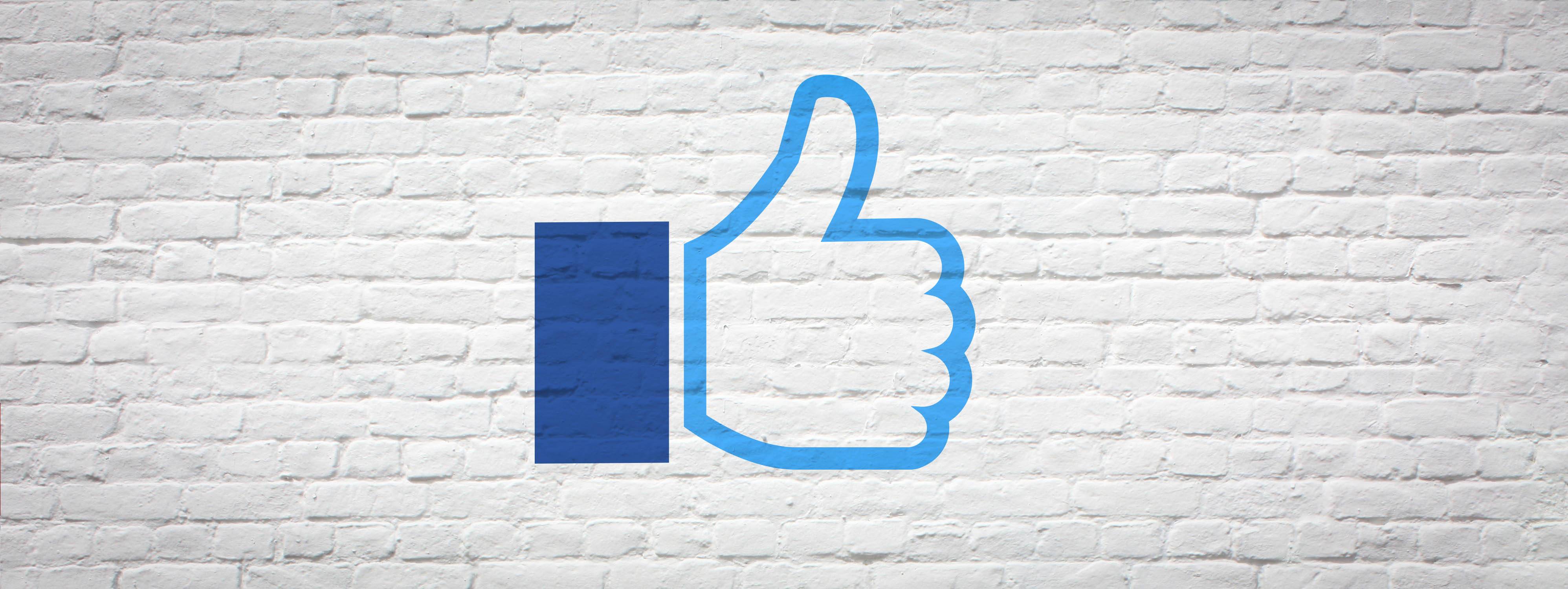 Telling Your Brand Story With Facebook Canvas Ads Metric PPC Blog